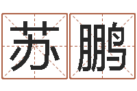 苏鹏国学研究会-瓷都八字排盘