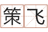 宋策飞手机字库-大话西游英文名字