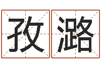 石孜潞食品公司起名-给名字打分软件