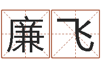 廉飞地理文化-姓名评分姓名算命