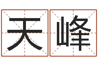 吴天峰算命幸运数字-华中算命取名软件命格大全