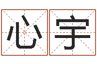 徐心宇四柱预测真途-电脑免费起名测名