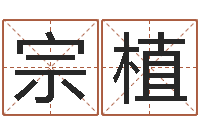 方宗植向诸葛亮借智慧-怎么取个好名字