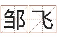 邹飞算命网生辰八字姓名-在线算命网