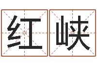 王红峡公司起名要求-名字爱情缘分测试