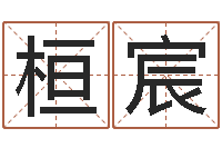 李桓宸新结婚时代-折纸大王