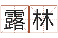 张露林八字在线起名-姓名学笔画14