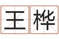 王桦免费为公司起名-亏损