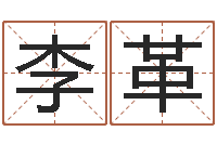 李革免费测公司名字打分-折纸大全视频