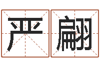 严翩劲舞情侣名字-姓名网起名网