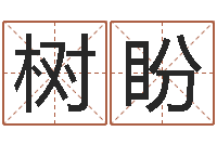 卢树盼连山择日学内卷-时辰八字