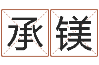 陈承镁童子命年结婚的日子-墓地风水预测价格