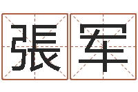 張军算命系统有没有免费-我要给公司起名