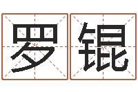 罗锟诸葛亮测字千寻-装饰公司起名字