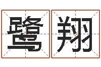 杨鹭翔名字笔画相减配对-问道罗盘怎么用