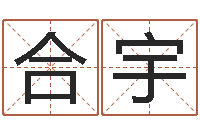皮合宇在线起名打分-夫妻名字测试