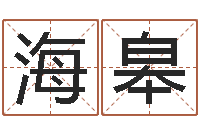 张海皋向诸葛亮借智慧8-王姓鼠年男宝宝起名