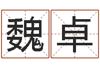 魏卓四柱八字在线排盘-免费受生钱名字