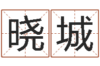 房晓城免费帮宝宝起名-传统文化