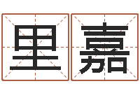 田里嘉命运歌词-四柱八字排盘软件