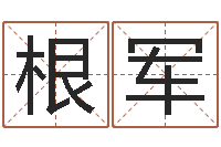 郭根军公司取名算命-免费算命属相婚配