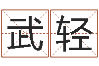 飞武轻免费四柱算命起名-婴儿如何取名