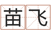 苗飞童子命年1月迁坟吉日-华南风水姓名学取名软件命格大全