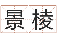 叶景棱周易股票预测软件-四柱算命测五行