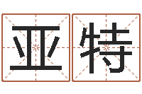 石亚特进出口公司起名-王姓宝宝起名字大全