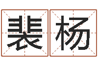 裴杨泗洪县学习班-免费给刘姓婴儿起名