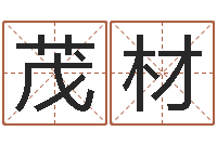 杨茂材男孩起名用字-精科算命