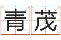 扶青茂名字改变面相-周易免费算命预测网