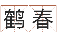 王鹤春大连起名取名软件命格大全-易奇八字婚姻树