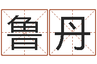 鲁丹免费塔罗牌算命-古代算命术下载