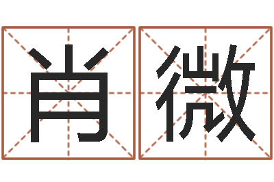 张肖微高命苗-给张姓鼠宝宝取名字