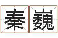 秦巍属兔本命年带什么-在线称骨算命法