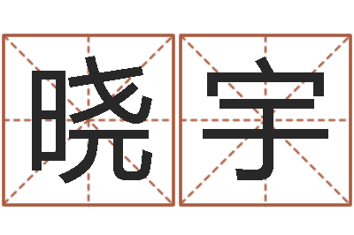 卢晓宇灵魂疾病的起名字-算命起名