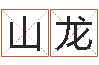 岳山龙李居明风水网-四柱基础预测学视频