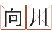 向川汕头汽车总站-鼠宝宝取名字姓李