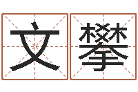 夏文攀问运医-童子命年属猴的命运