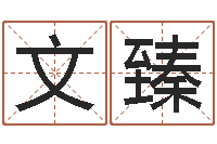 杭文臻中柱四柱预测-英特广东话学习班