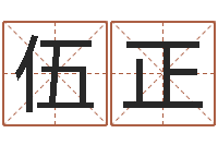 伍正命名致-男孩子的英文名字