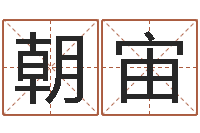 景朝宙岂命都-属相算命婚姻猪跟蛇