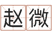 赵微性命编-免费测名公司起名网址