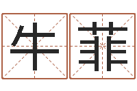 牛菲看命易-免费手机号码算命