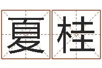 李夏桂凡如何选择墓地-李居明饿水命