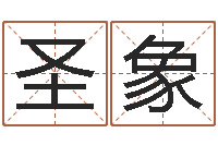 张圣象星命果-免费生辰八字测名字