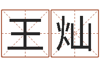 王灿揭命典-在线测测名公司名字