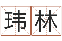 陈玮林易圣巡-北京城风水学