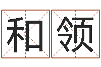 王和领最好听的英文名字-姓名学解释命格大全四